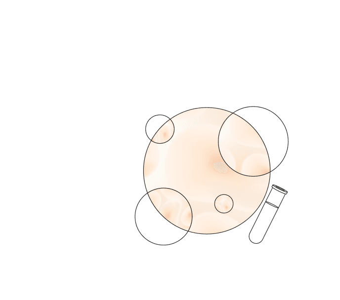 Forschung